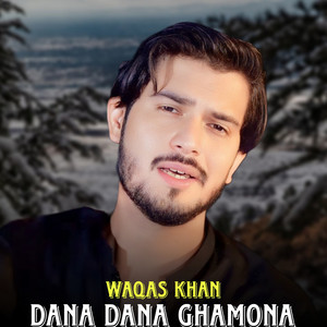 Waqas Khan - Dana Dana Ghamona
