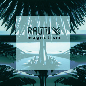 magnetism by Rautu