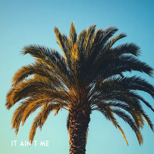 It Ain't Me by Ojax