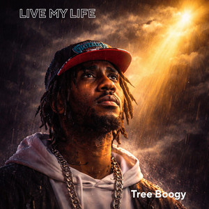 Live My Life by Tree Boogy