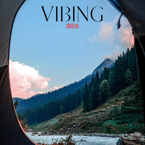 Shintoo - Vibing