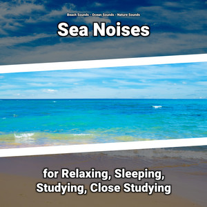 Sea Noises for Relaxing, Sleeping, Studying, Close Studying album
