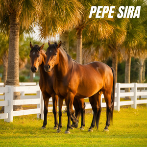 Guacharaca Mensajera by Pepe Sira