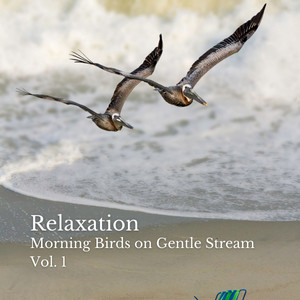 Relaxation: Morning Birds on Gentle Stream Vol. 1 album