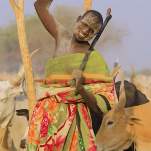 Distribution Media - Rin Kua Abi Ping Bro Winner