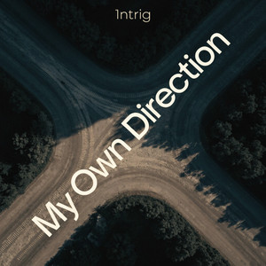 My Own Direction by 1ntrig