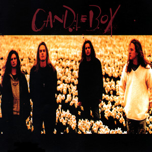 You album art