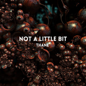 Not A Little Bit (Radio edit) by Thane