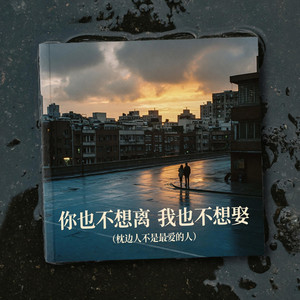 你也不想离 我也不想娶（枕边人不是最爱的人）｜情绪R&B｜爱而不得版｜夜听版｜听懂的人都沉默了_1 by 丁忱斯