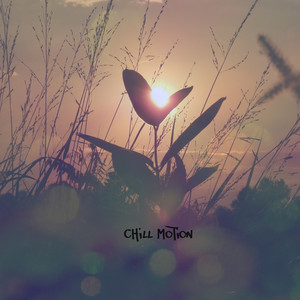 Wizard by Chill Motion