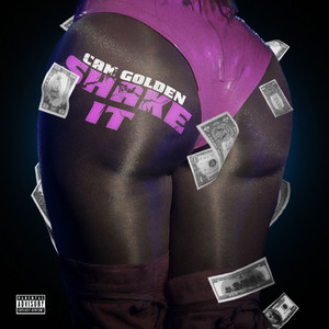 Portada de Shake It