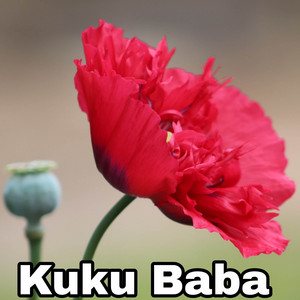 Bishnu Kunwar - Kuku Baba