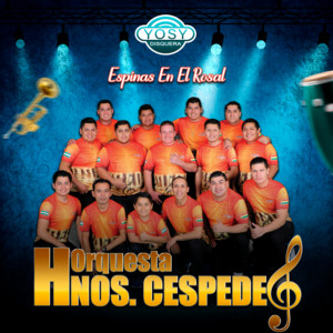 Orquesta Hnos. Cespedes - Mix.Vallegrandinos - Soy Soltero - Hoy Estoy Aquí - Chacopateña - Patas Kjarkas - Amalaya