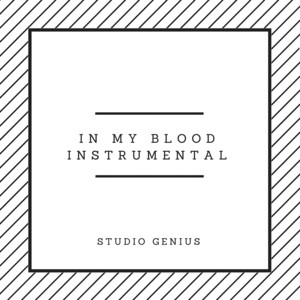 In My Blood Instrumental (Originally by Shawn Mendes)