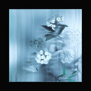 ghost flora