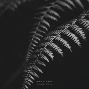 Velvet Hour by Nico Ono