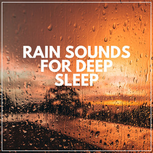 Rain Sounds for Deep Sleep album