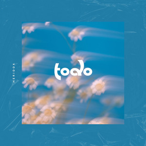 Todo by Heridox