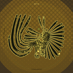 Saturate (Remix) by ASC