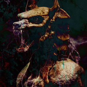 Anubis