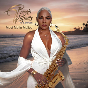 Meet Me in Malibu by Pamela Williams