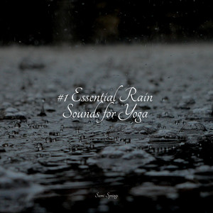 #1 Essential Rain Sounds for Yoga album