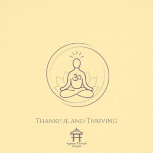 Quiet Abundance