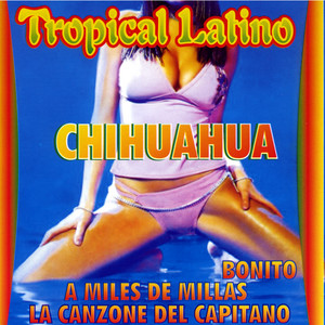 Tropical Latino album