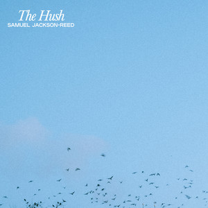 The Hush by Samuel Jackson-Reed
