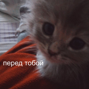 перед тобой by taymxru