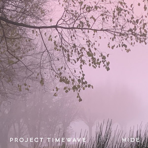 project timewave