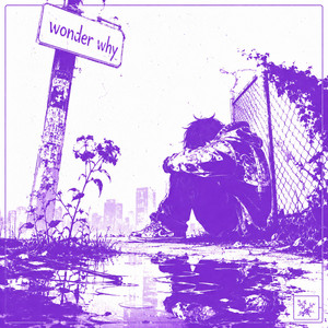 wonder why by skyy9