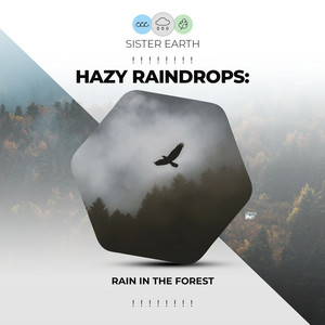 ! ! ! ! ! ! ! ! Hazy Raindrops: Rain in the Forest ! ! ! ! ! ! ! ! album