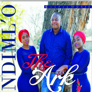 THE ARK - Siyabonga Nkosi