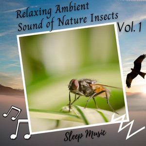 Sleep Music: Relaxing Ambient Sound of Nature Insects Vol. 1 album