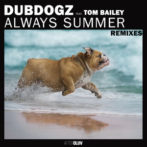Always Summer - Kohen Remix by Dubdogz cover art