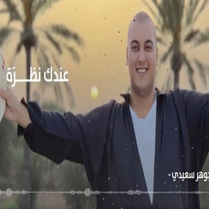 jawher saidi - andek nadhra