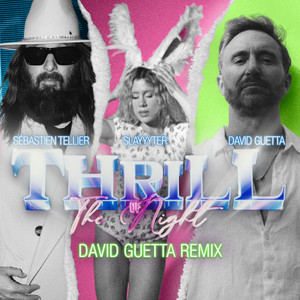 Thrill Of The Night (feat. Nile Rodgers & Slayyyter) [David Guetta Remix]