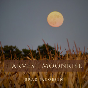 Harvest Moonrise by Brad Jacobsen