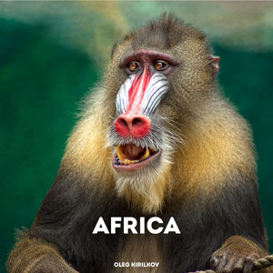 Oleg Kirilkov - Africa
