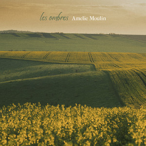 les ombres by Amelie Moulin