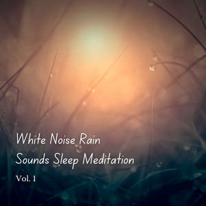 White Noise Rain Sounds Sleep Meditation Vol. 1 album