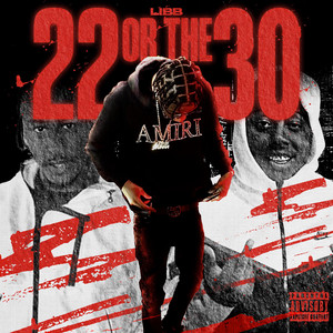 22 Or The 30 by Libb, Lil 9