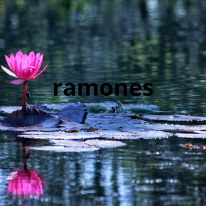 ramones by SOSO 17