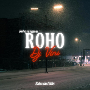 ROHO - AFRO HOUSE - Extended Mix by Dj Vini