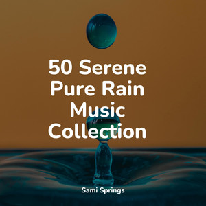 50 Serene Pure Rain Music Collection album