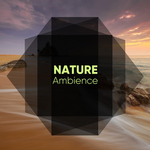 Calming Nature Ambience album
