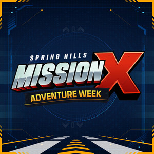 Stand Still by Spring Hills Adventure Week