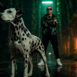 Puty Jungle by Puty P.T.Y