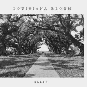 Louisiana by Louisiana Bloom